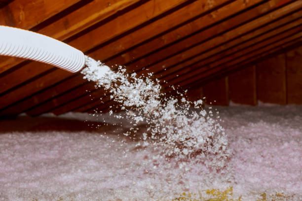 Professional Insulation Contractor in Rossville, GA