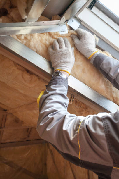 Best Residential Insulation in Rossville, GA