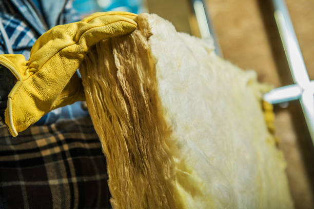 Best Geographic-Specific Insulation Services in Rossville, GA