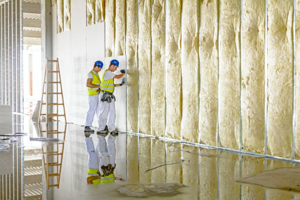 Best Commercial Insulation in Rossville, GA